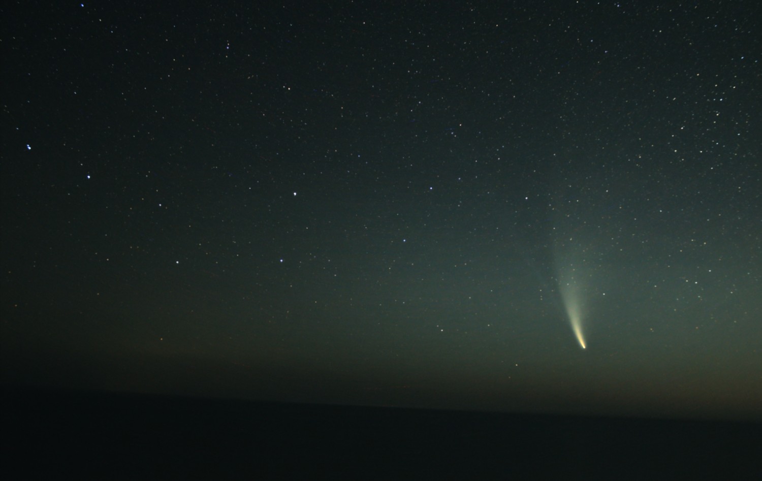 Comet NEOWISE high in a starry twilight sky with its tail drawn out