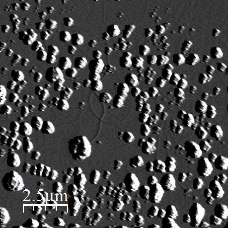 Atomic force micrograph zooming in on the nanotube sample
