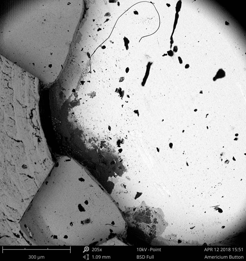 Scanning electron micrograph of an americium-241 source button from a smoke detector