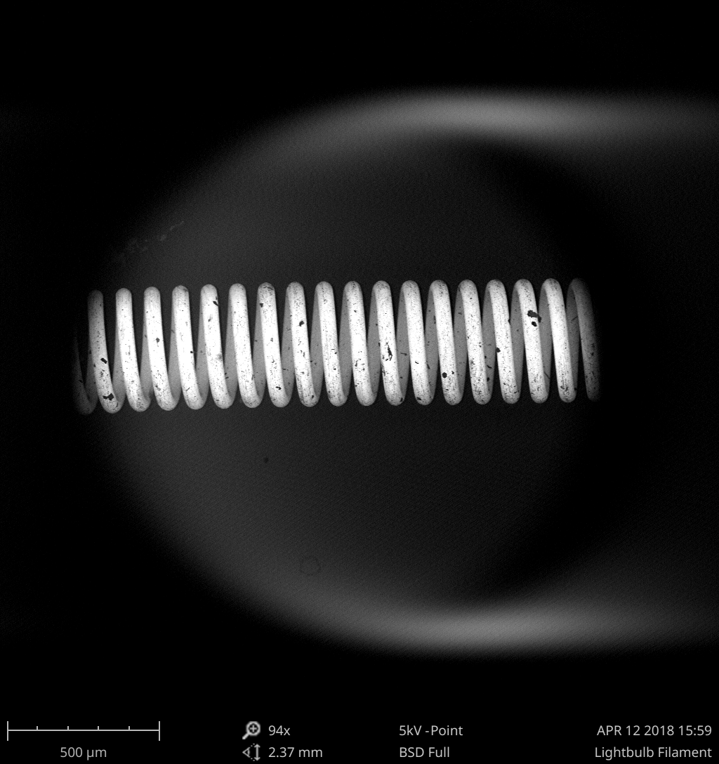 Scanning electron micrograph of a coiled tungsten lightbulb filament
