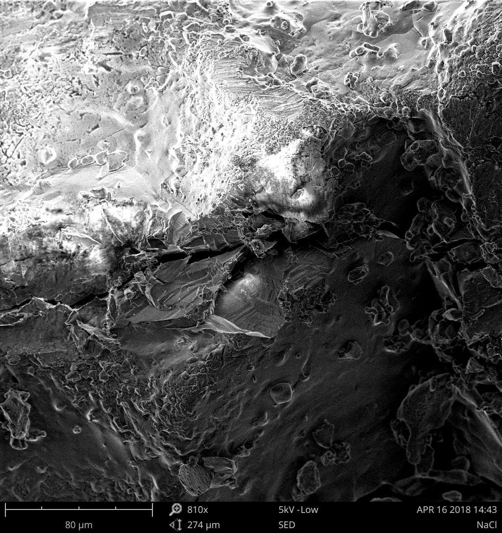 Scanning electron micrograph of grains of table salt