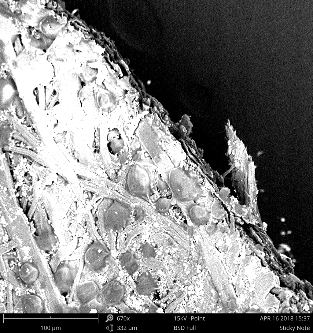 Scanning electron micrograph of the adhesive microspheres on a Post-it note
