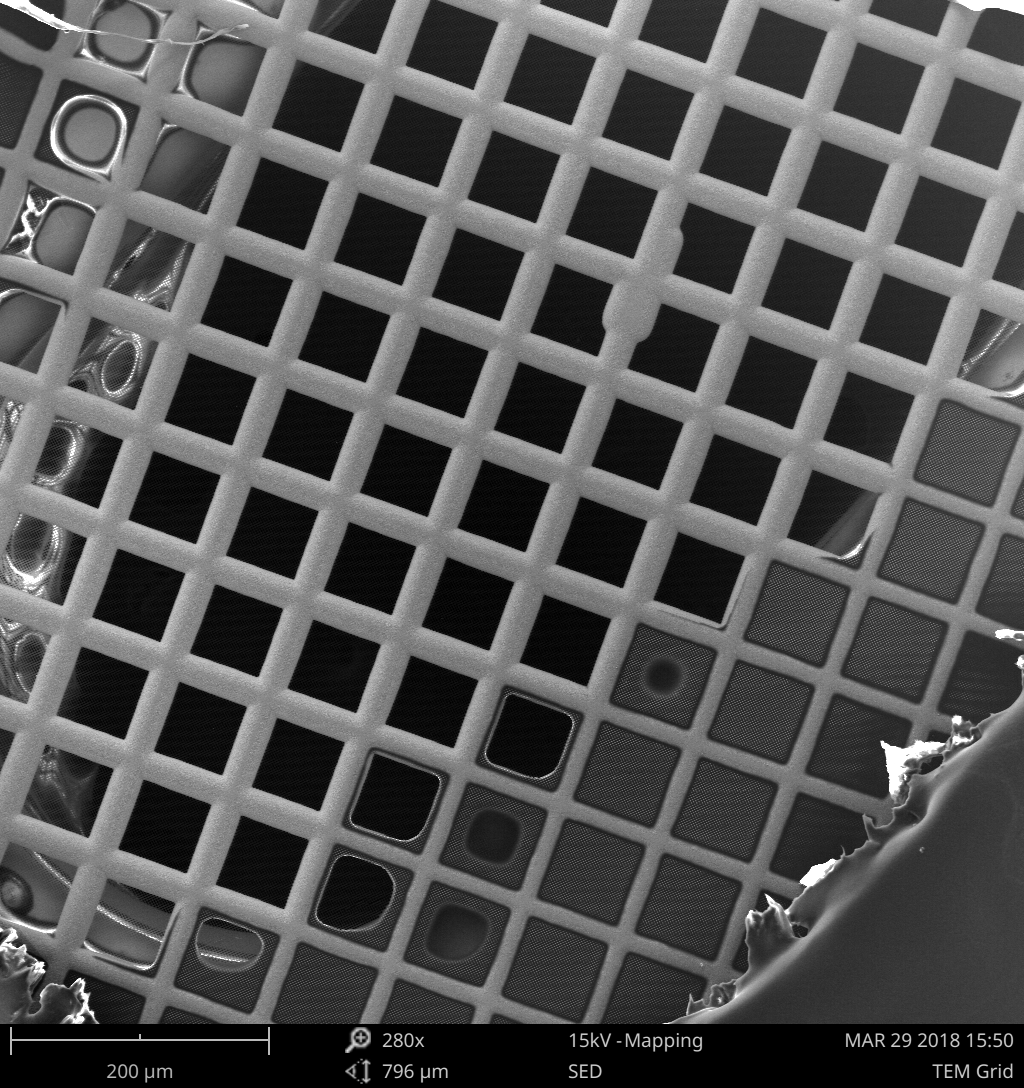 Scanning electron micrograph of a transmission electron microscope sample grid